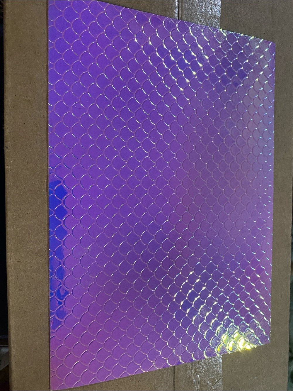 ❤️10/$10❤️ Textured Scale Craft Sheet